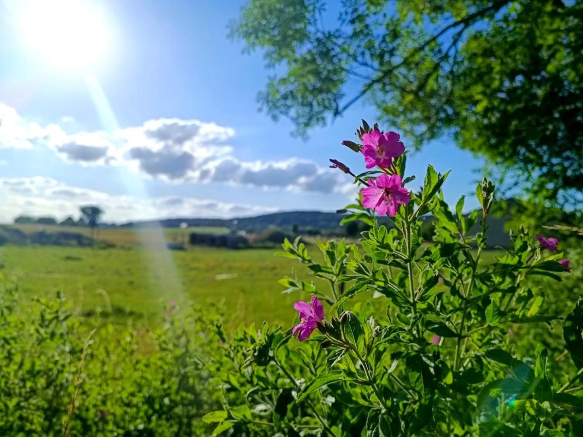 Au Pied Du Trieu Labroye